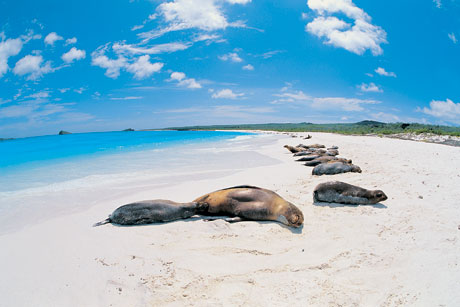 Isole Galapagos